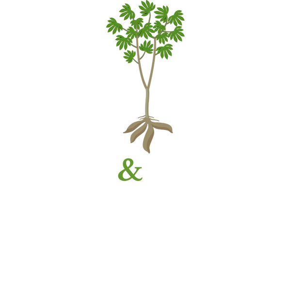 Manioc&tradition 